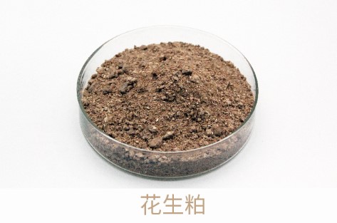 冰球突破-冰球电游豪华版_MG冰球游戏